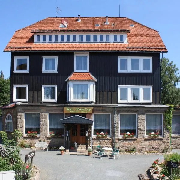 Haus Dümling, hotel v destinaci Braunlage