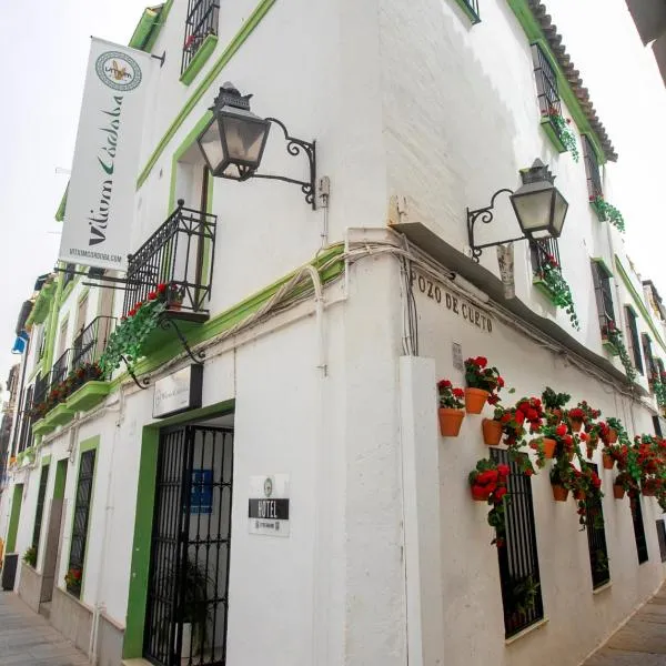 Vitium Córdoba, hotel in Córdoba