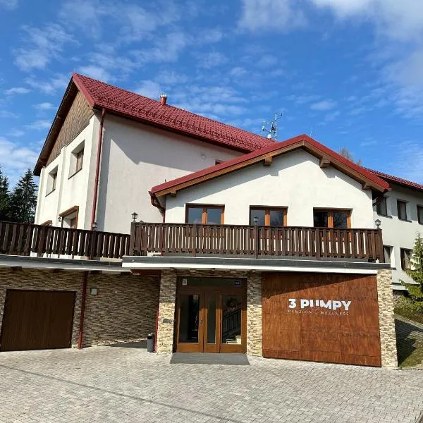 Penzion Tři pumpy, hotel in České Křižánky