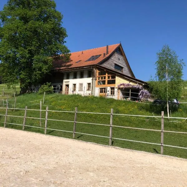 Sérénité et nature dans une ferme équestre - studio familial, hotel v destinaci Massonnens