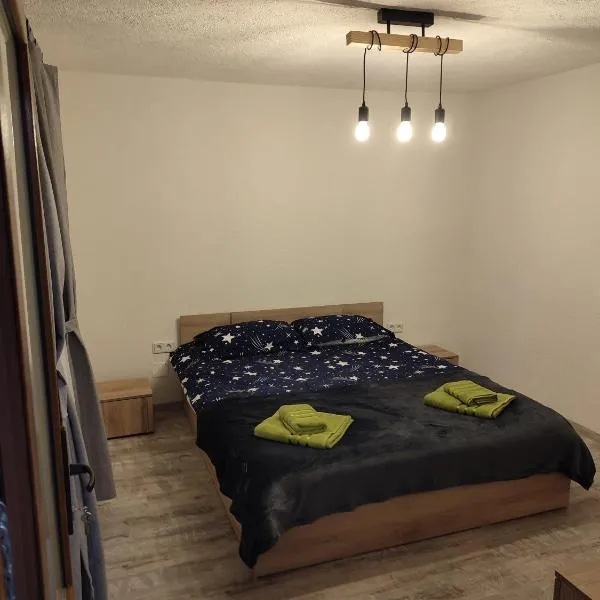 라슈노브에 위치한 호텔 Torok Adrian Mihail PFA