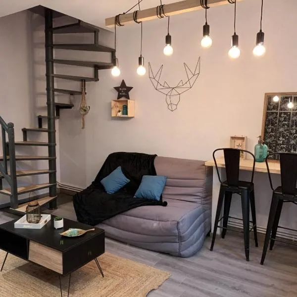 Maison stACHEUL*gare/centre*wifi, hotel v destinaci Amiens