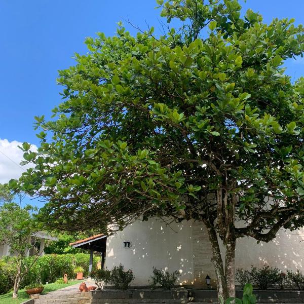 Casa da dona Ruth