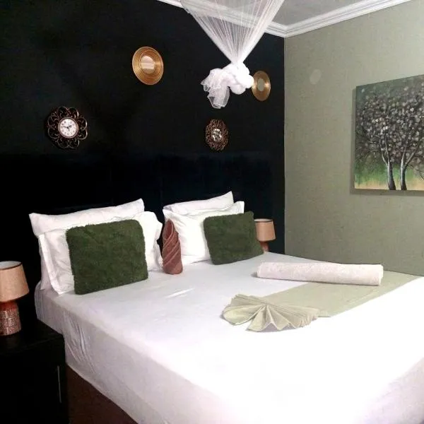 The New Mall Guesthouse, hotel en Maun