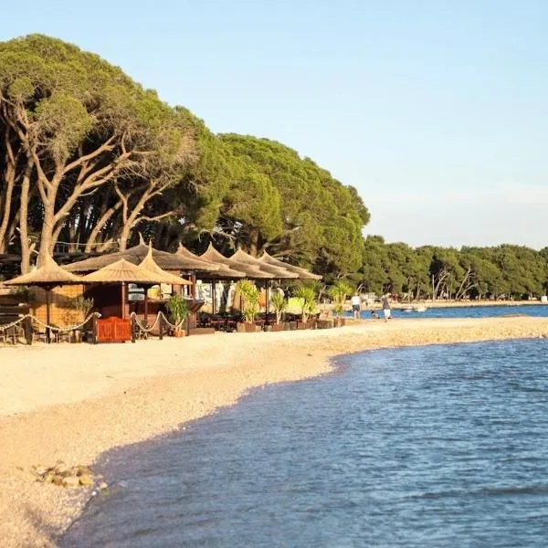 Apartment David, hotel in Biograd na Moru