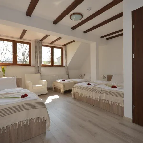 Poduszka Apartamenty Zielony Dom, hotel v destinaci Stronie Śląskie