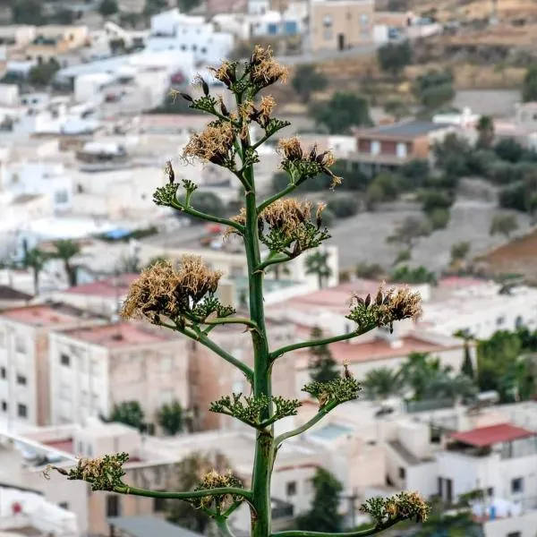 Nijar bella y su Parque Natural Cabo de Gata – hotel w mieście Níjar