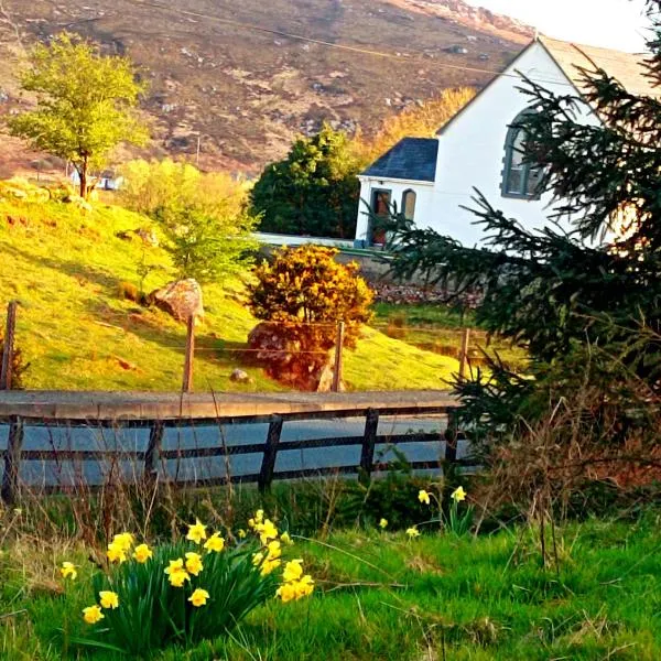 Donegal cottage, hotel in Donegal