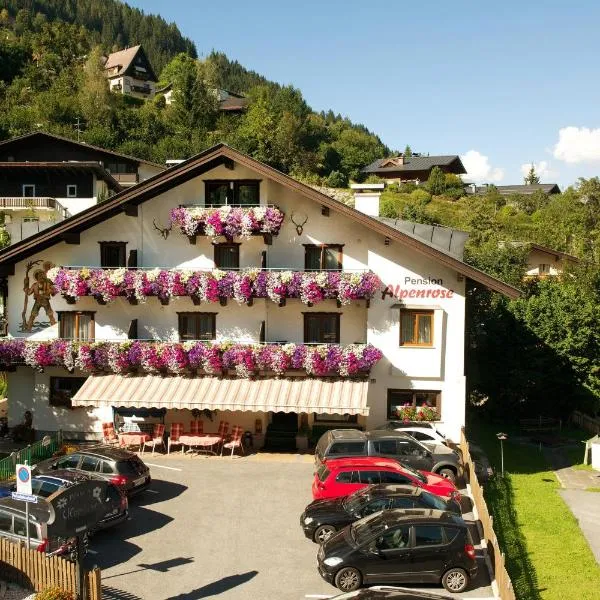 Pension Alpenrose, hotel v destinaci Zell am See