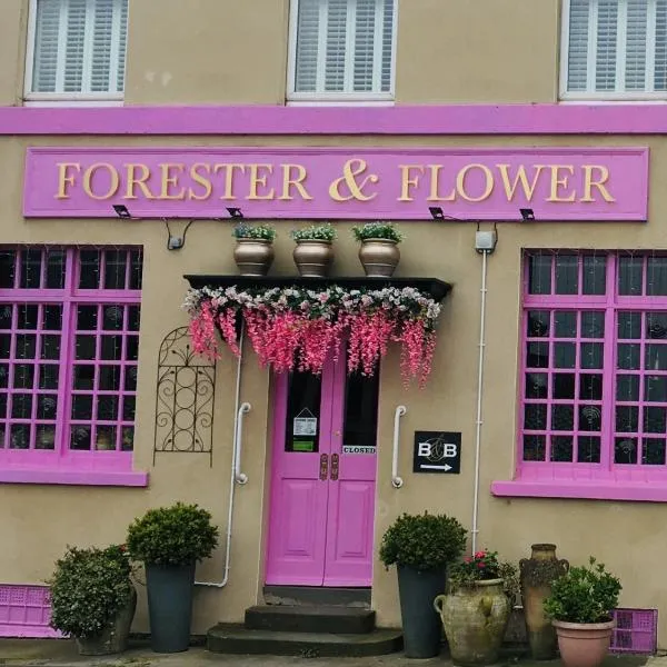The Forester and Flower, hotel v destinaci Bath