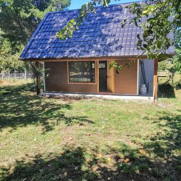 Cabaña Bello entorno natural!, hôtel à Lago Ranco