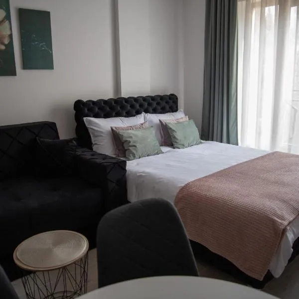 Milmari Nlux 74, hotell sihtkohas Kopaonik