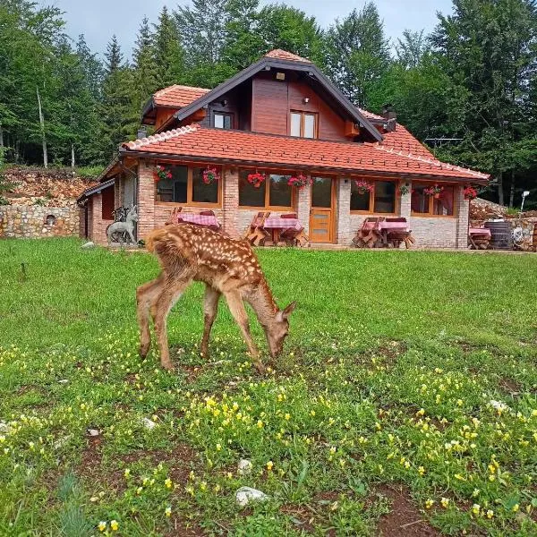 Kod Popaja, hotel in Bajina Bašta