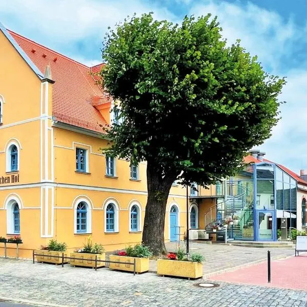 Pension "Zum Reußischen Hof", hotel in Schildau