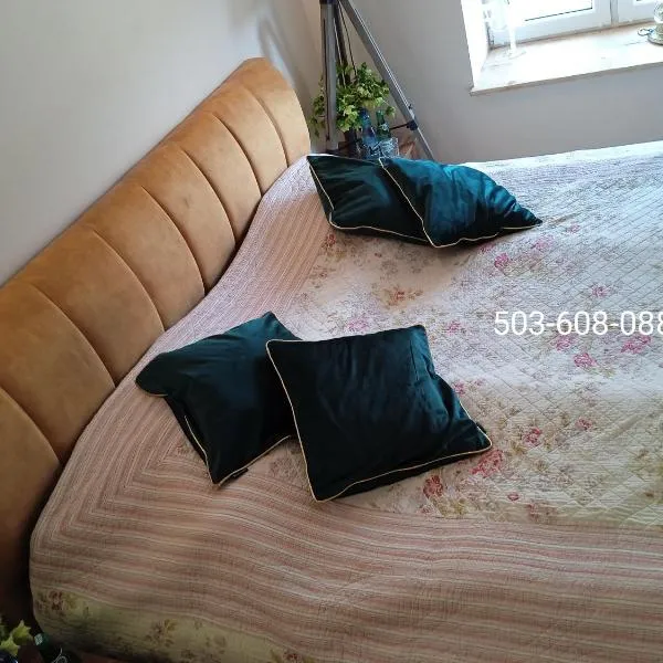 Blisko Zamku Książ 503-608-088, hotel di Stare Bogaczowice