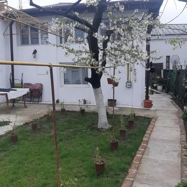 Casa, hotel a Craiova
