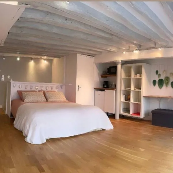 Beau studio Gare de Lyon