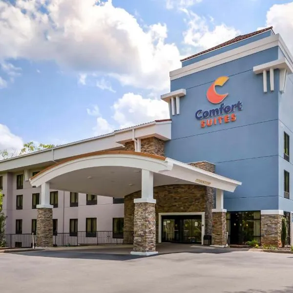 Comfort Suites At Kennesaw State University, hotel in Woodstock