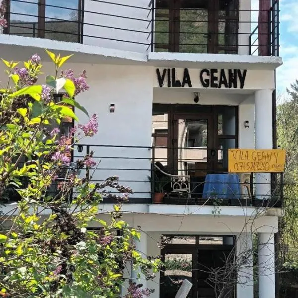 Pensiunea Vila Geany SRL、バイレ・ヘルクラネのホテル