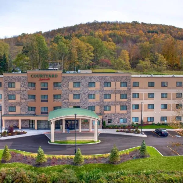 Courtyard by Marriott Oneonta, hotel in Sidney Center