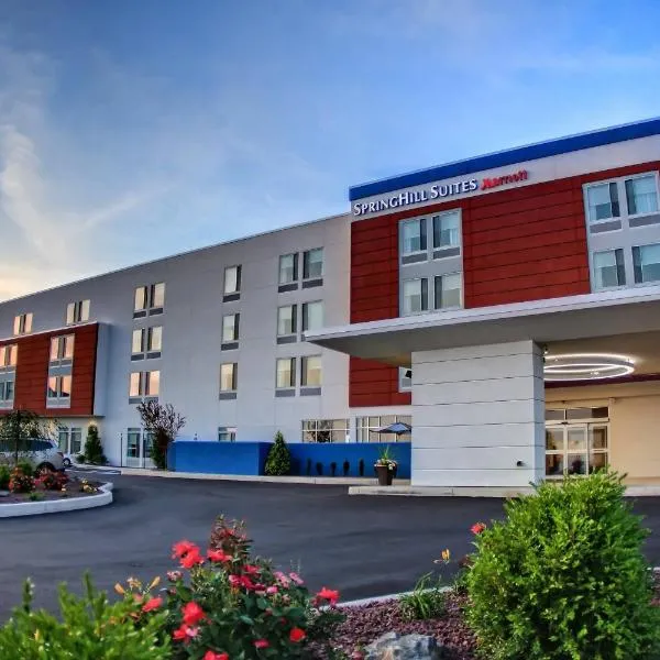 SpringHill Suites by Marriott Scranton Montage Mountain, hotel in Moosic