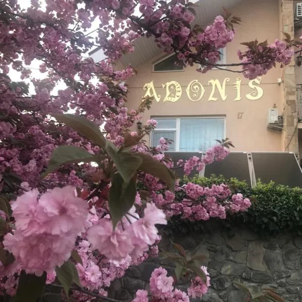 Adonis, hotel in Kholmets