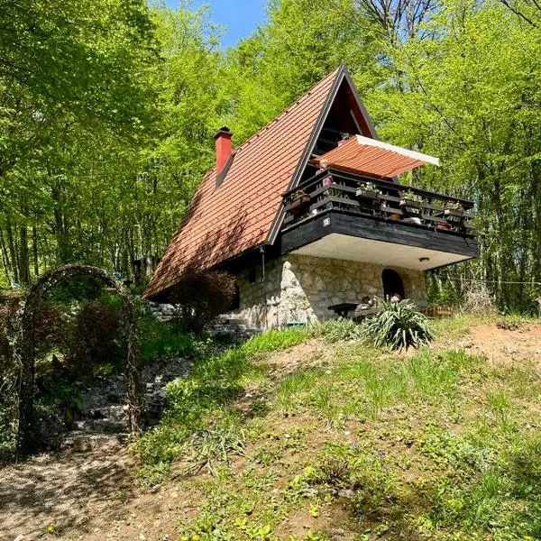 Mrežnički doživljaj, hotel di Gornji Zvečaj