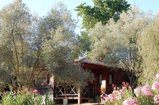 Gites Chalets de Grosseto-Prugna, hotel in Grosseto-Prugna