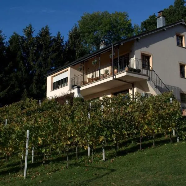 CasaVitis Erholung am Weinberg, hotel a Sippenaeken