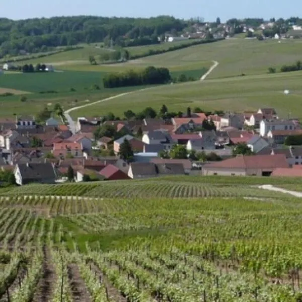 La Longère de Vin'Ay, hotel v destinaci Vinay