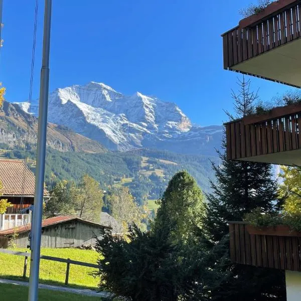 Hotel Bellevue - Traditional Swiss Hideaway, hotelli kohteessa Wengen