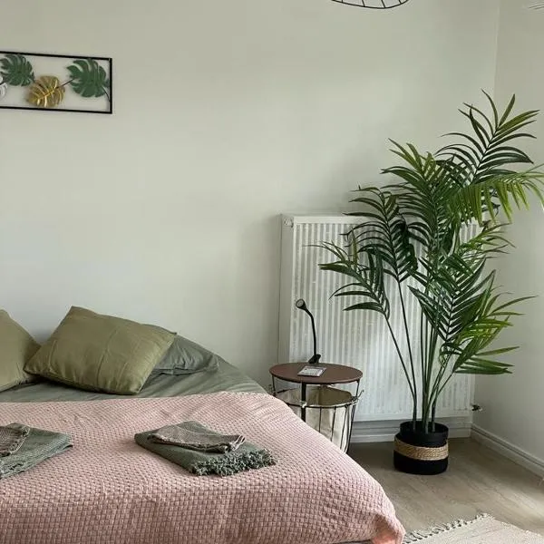 Studio T à 5mn euro airport avec terrasse, hotel din Saint-Louis