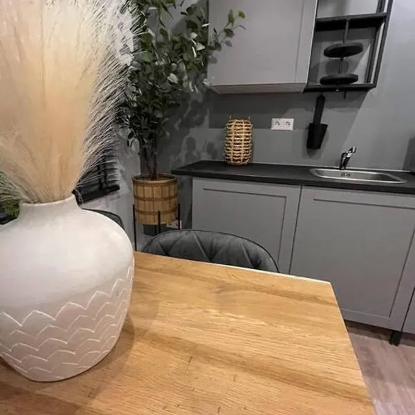 Gezellig appartement, Gerenoveerd eind 2022, hotel in Tilburg