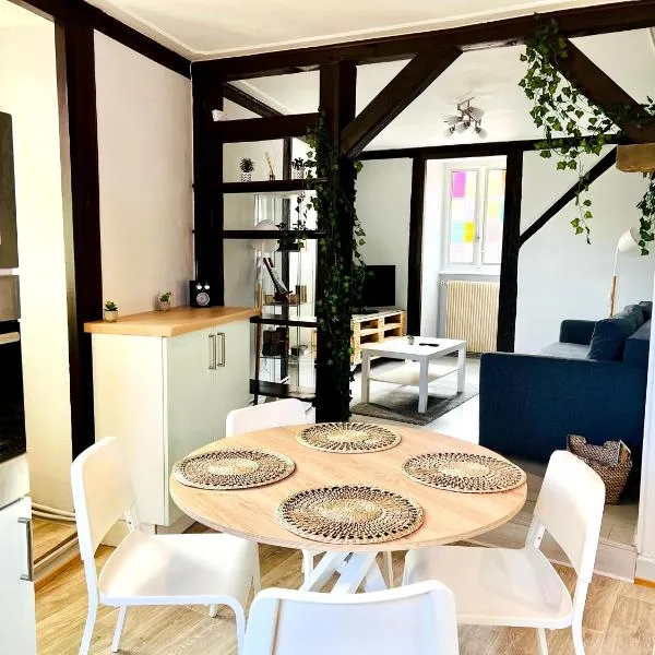 Seppala charmant appartement, Hotel in Colmar