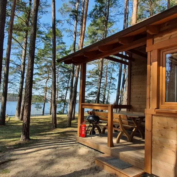 Domki Borsk - nad samym jeziorem, nowe w pełni wyposażone z miejscem parkingowym, hotel en Wdzydze Kiszewskie