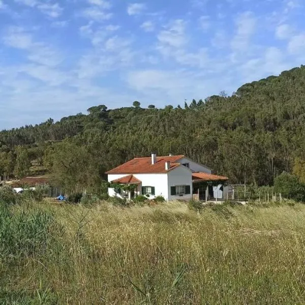 AL- Quinta dos Carvalhais, hotel di São João da Ribeira