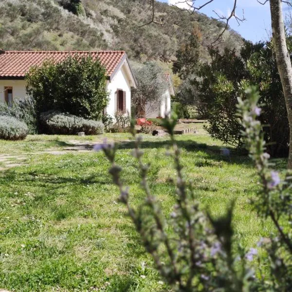 Taverna Centomani, hotel in Tito