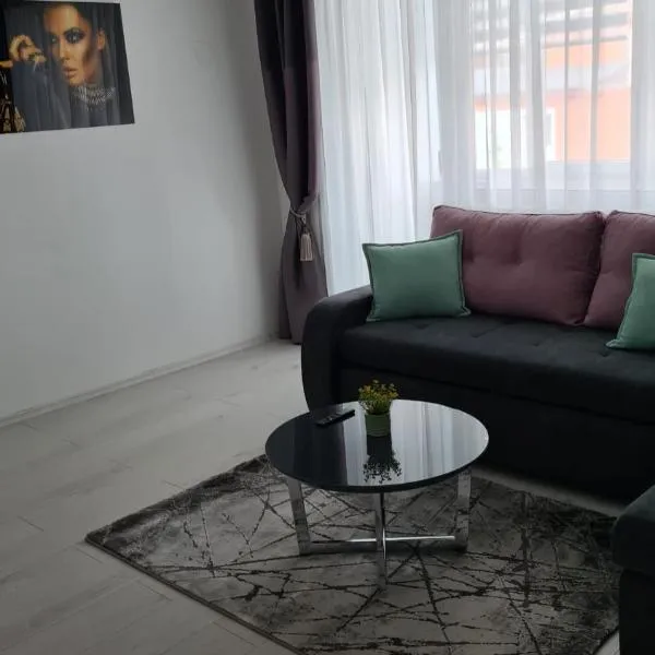 Iggy Luxury Central Apartment, hotel in Hunedoara