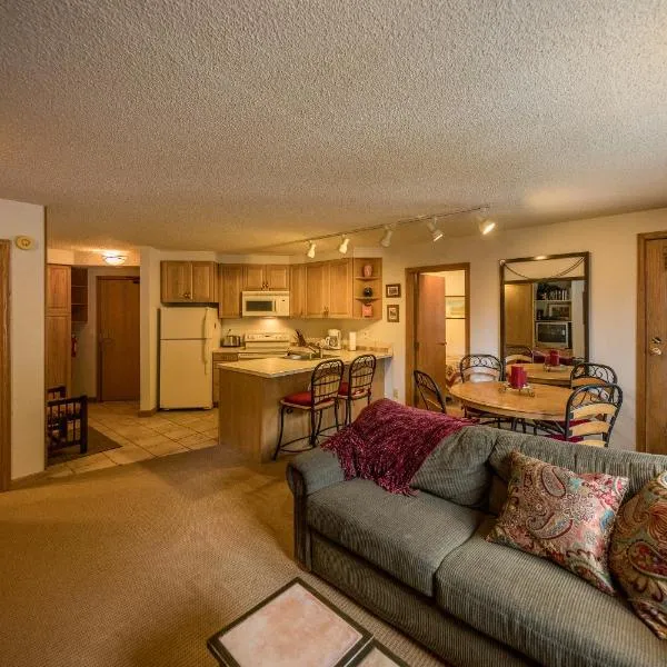 Iron Horse Building D Unit 4104，冬季公園的飯店