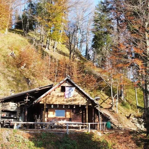 A Cottage in the Alps for hiking, cycling, skiing、イェセニツェのホテル