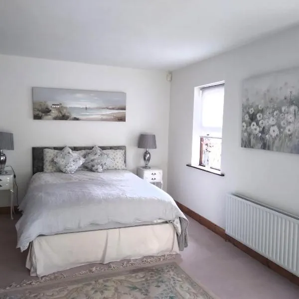 The Wandering Donkey Guest House, hotell sihtkohas Carlow