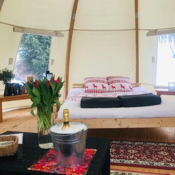 Frisbo Lodge - Romantic night in a dome tent lake view, hotel en Delsbo