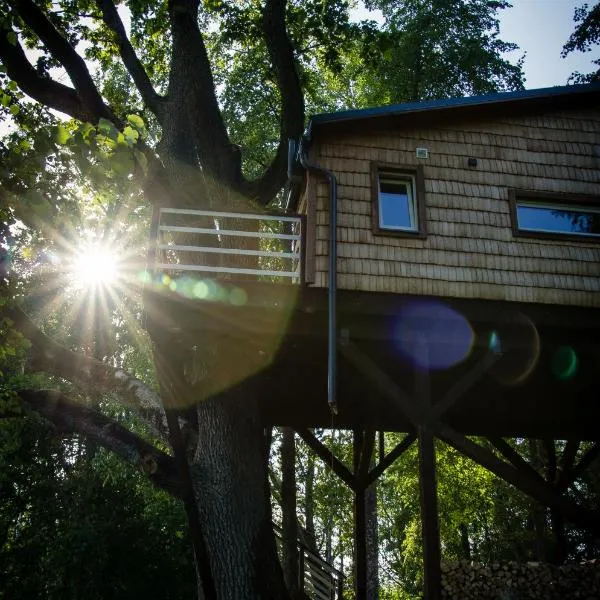 Strazdu Ligzda Off grid treehouse, hotel v destinaci Meņģele