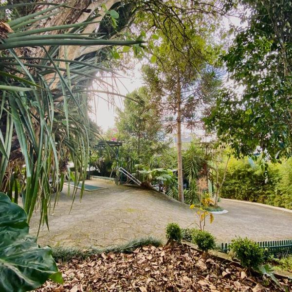 Pousada Casa Verde - Curitiba - Foto 4
