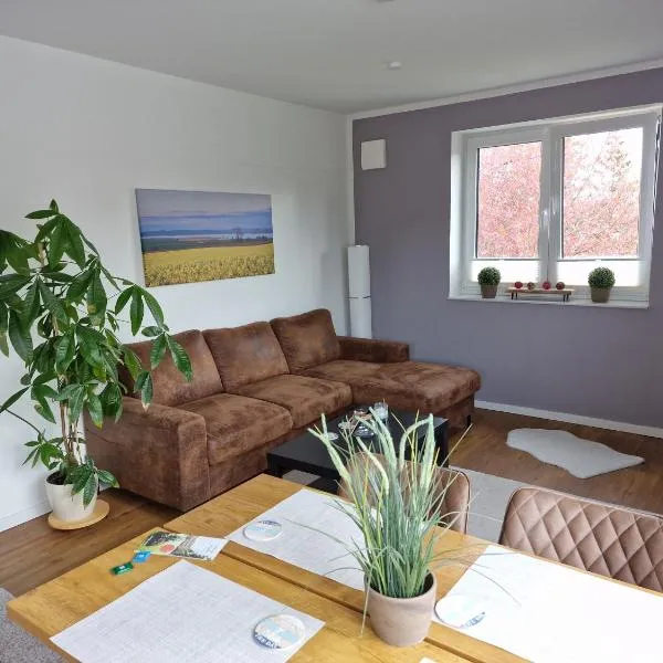 Moderne Penthouse Wohnung, hotel in Schleswig