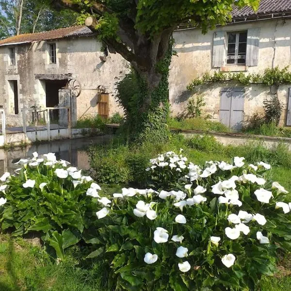 Gite du moulin, hotel in Chenay