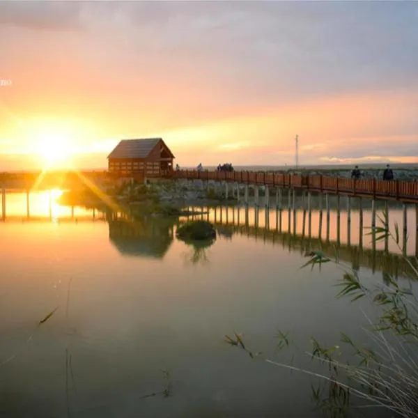 Casa caretta caretta, hotel a Ippocampo