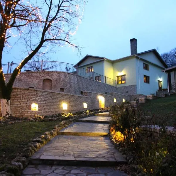 Thea Dodoni, hotel v destinaci Manteio