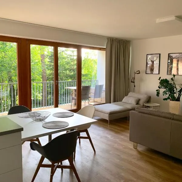 Lipno Port Apartment C101, hotel v destinaci Lipno nad Vltavou
