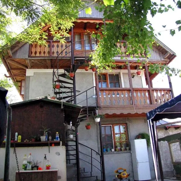 Casa Oana, готель у місті Суліна